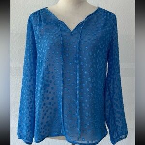 J. Crew Blue Polka Dotted Blouse Shirt Top